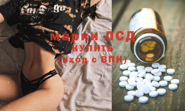 стаф Бронницы