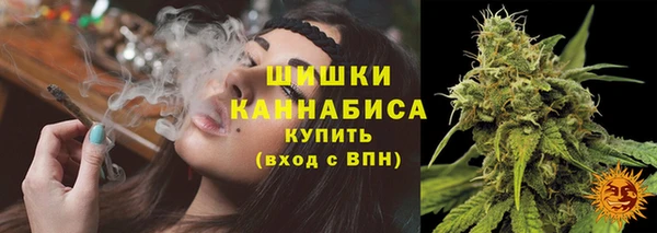 стаф Бронницы