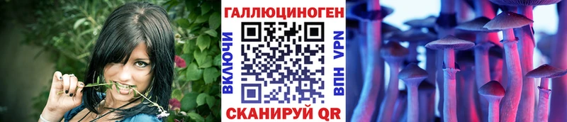 магазин  наркотиков  Острогожск  Галлюциногенные грибы Psilocybe 