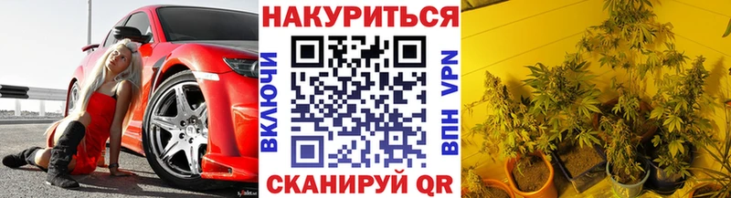 даркнет сайт  MEGA как зайти  Конопля ГИДРОПОН  Острогожск 